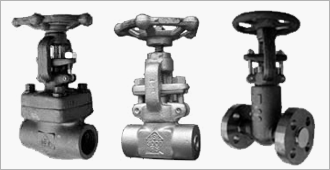 Shoritsu Valve, Shoritsu Valve Indonesia, Jual Shoritsu Valve Indonesia, Distributor Shoritsu, Agen Valve Shoritsu, Catalogue Shoritsu Valve, Jual Shoritsu Gate Valve Indonesia, Jual Shoritsu Globe Valve Indonesia, Jual shorts Check Valve Indonesia, Lift Check Valve Shoritsu
