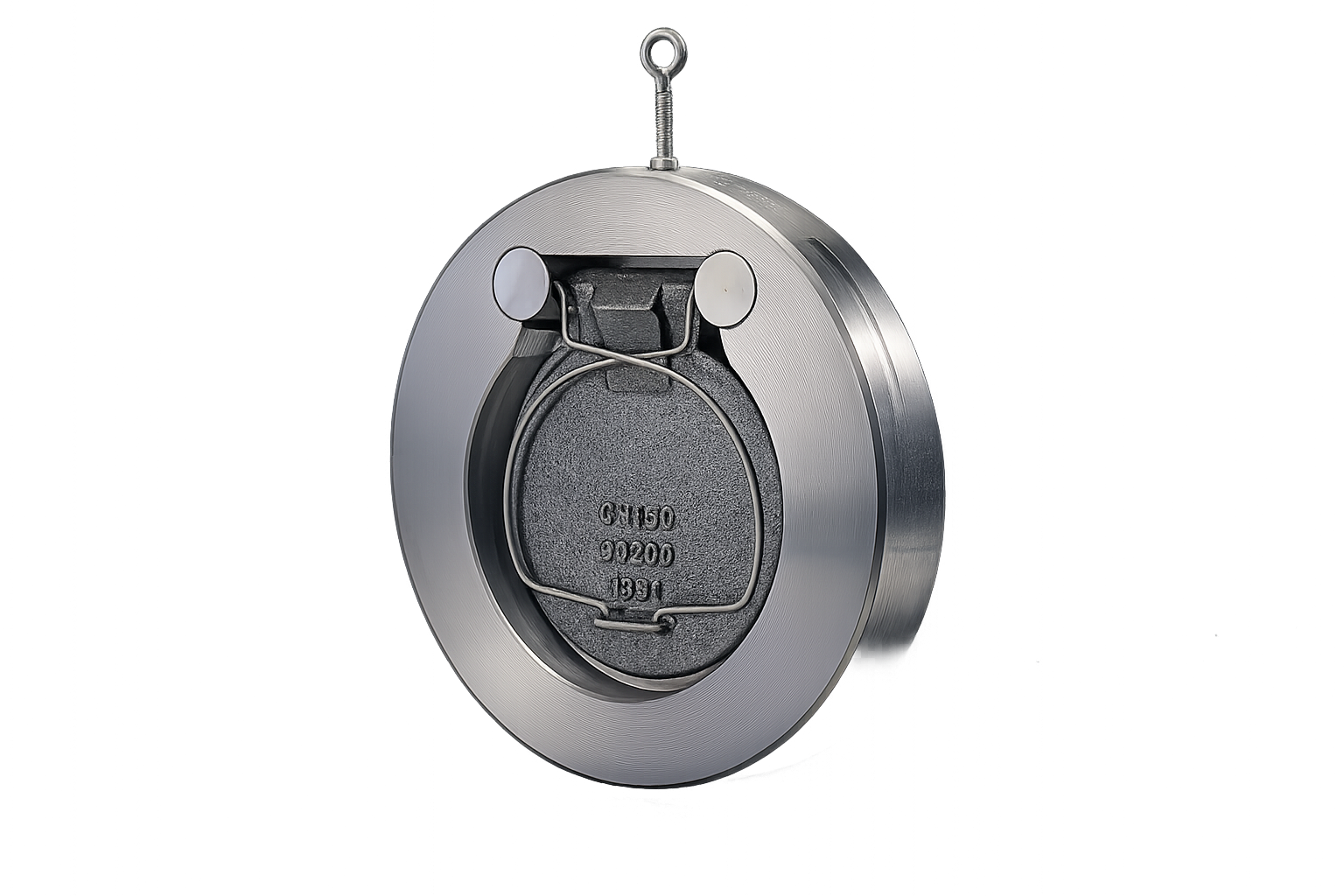 Swing Check Valve