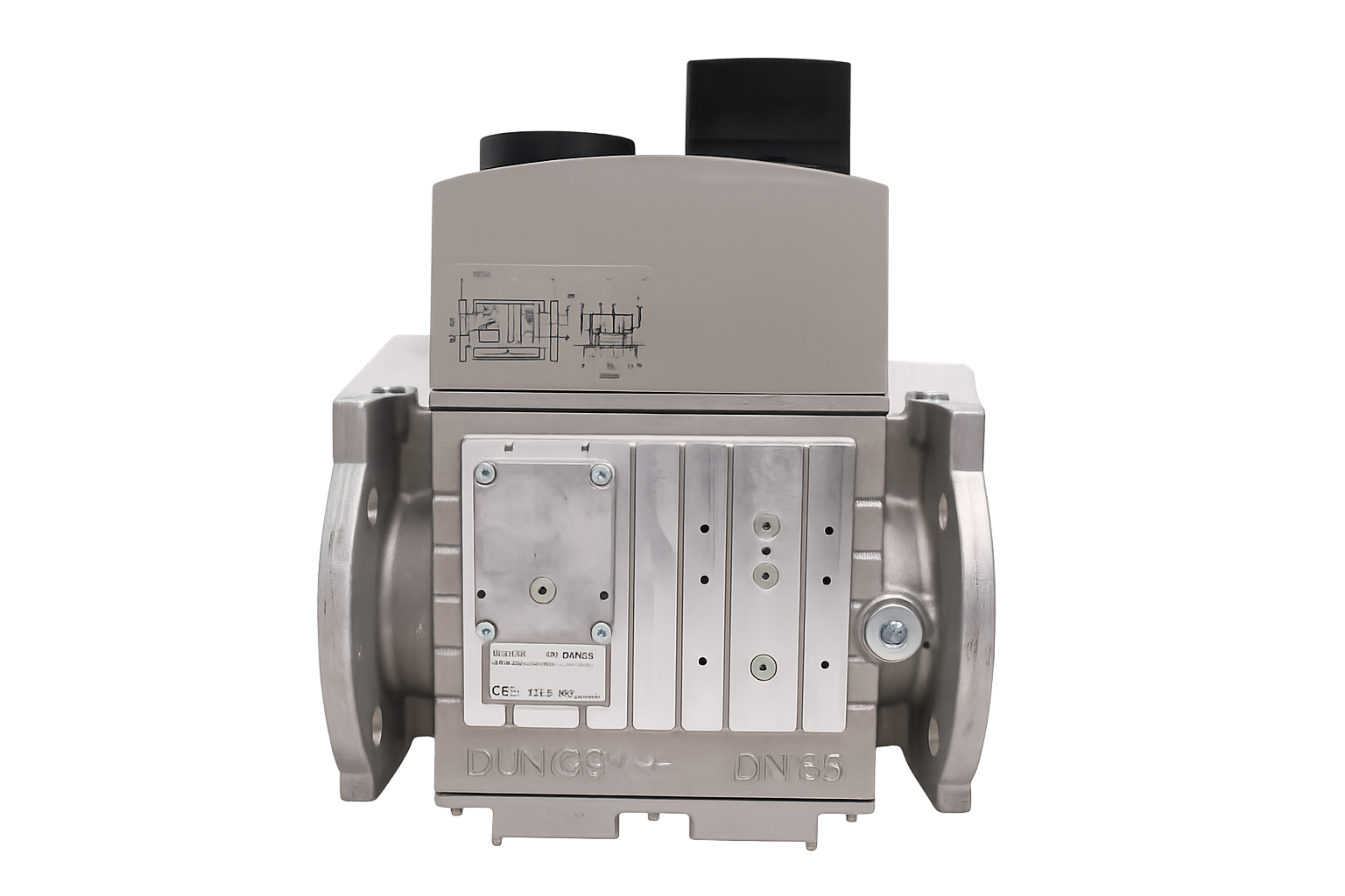 DUNGS Double Solenoid Valve - DMV 5065/12