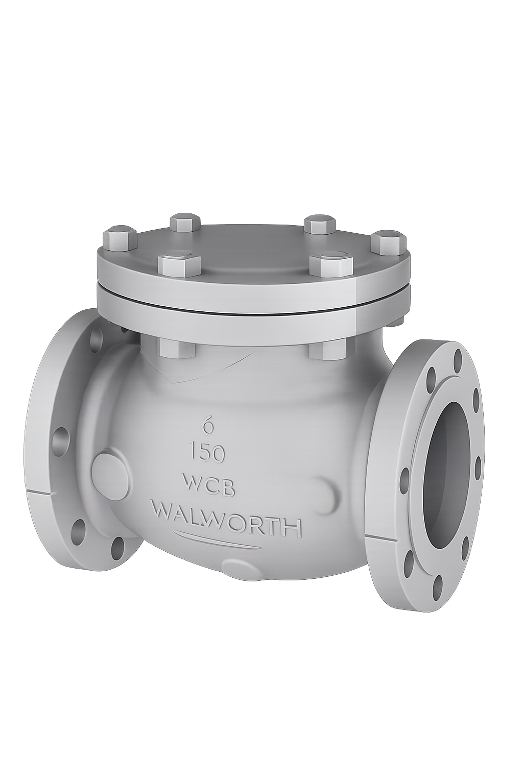 Walworth Check Valve