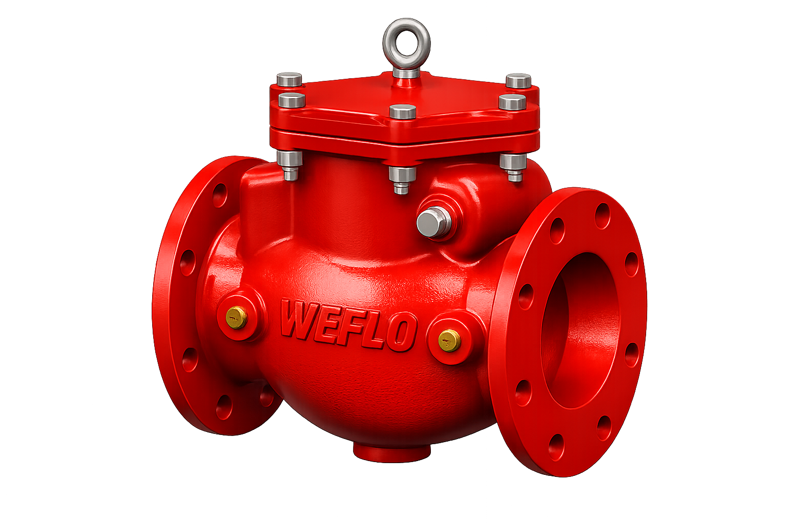 Swing Check Valve