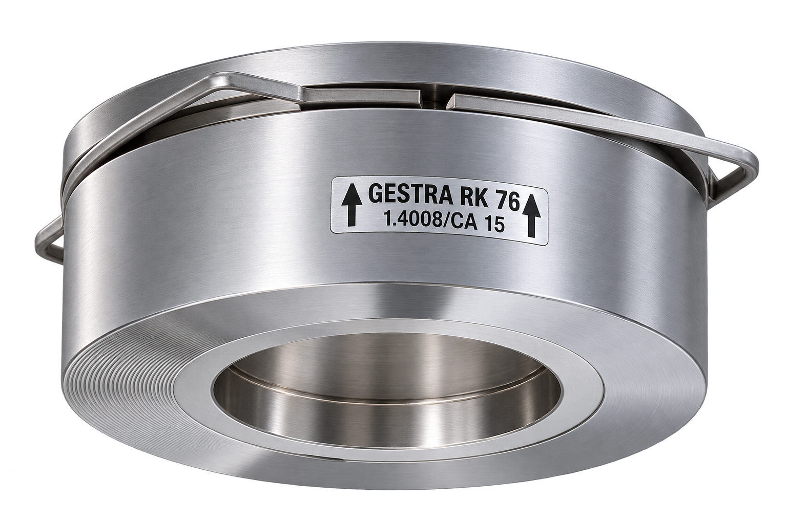 Gestra Disc Check Valve RK 76 DN 25 PN 6-40