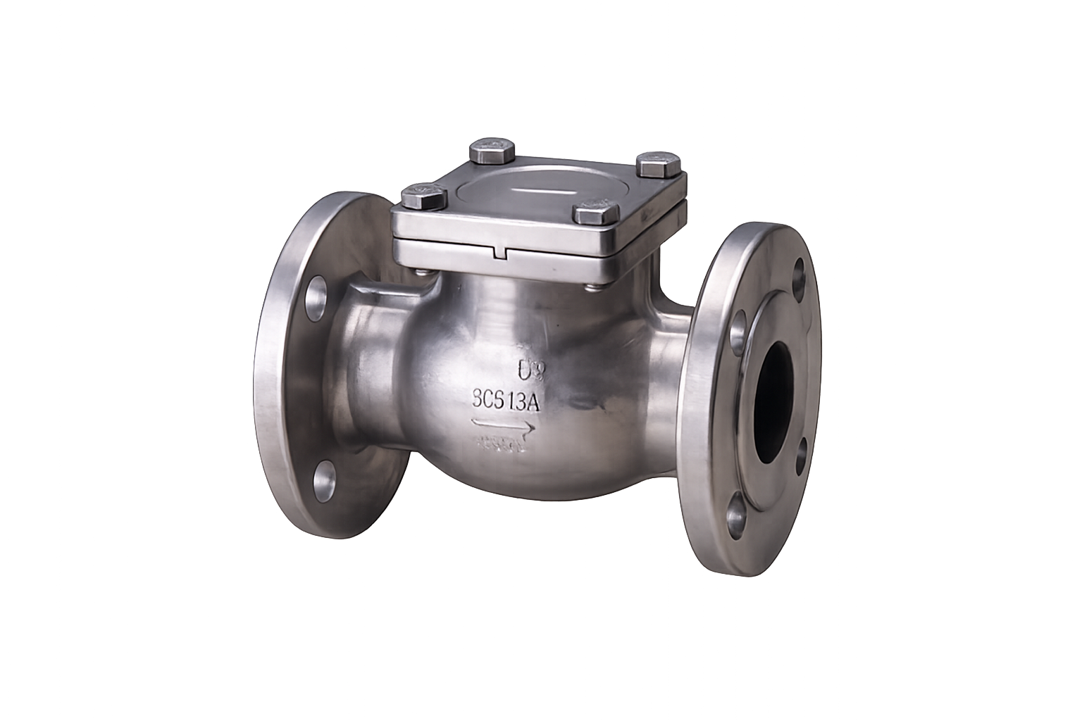 317 Swing Check Valve 2 Inch SS304